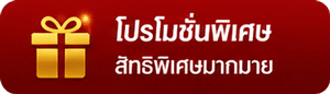 โปรโมชั่นพิเศษ