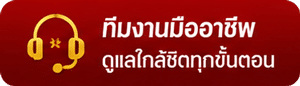 ทีมงานมืออาชีพ